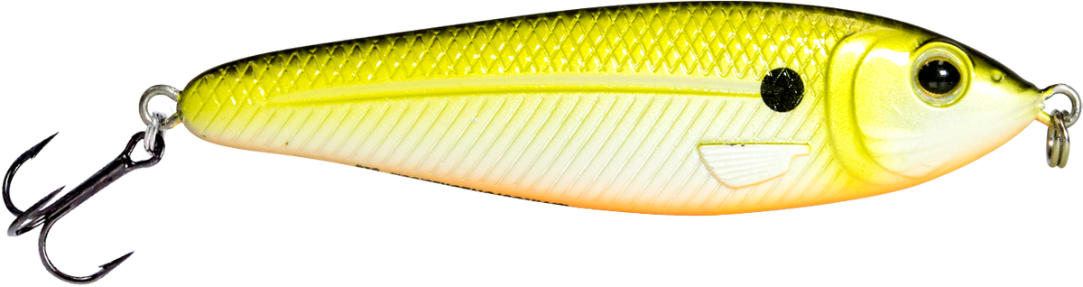 EBS Jigging Spoon