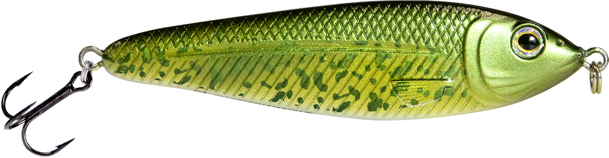 EBS Jigging Spoon