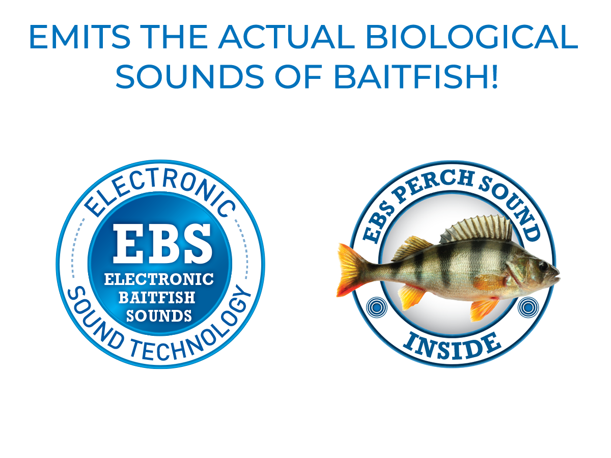 EBS Jigging Spoon