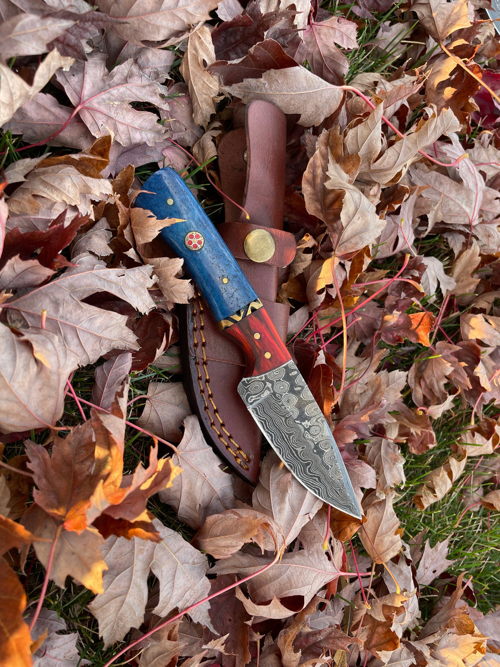 Aurora Blade TK-212 by Titan