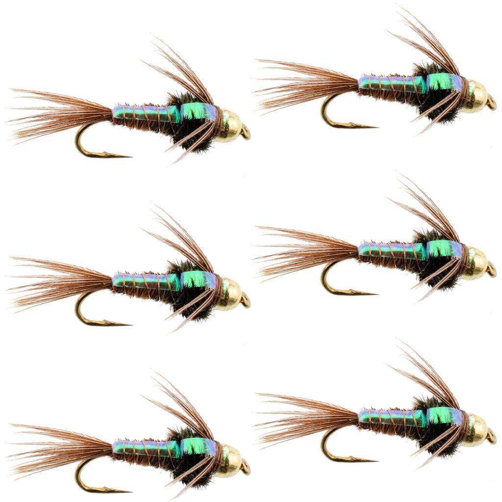 Tungsten Bead Head Flash Back Pheasant Tail Nymph 6 Flies Size 18