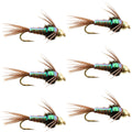 Tungsten Bead Head Flash Back Pheasant Tail Nymph 6 Flies Size 14