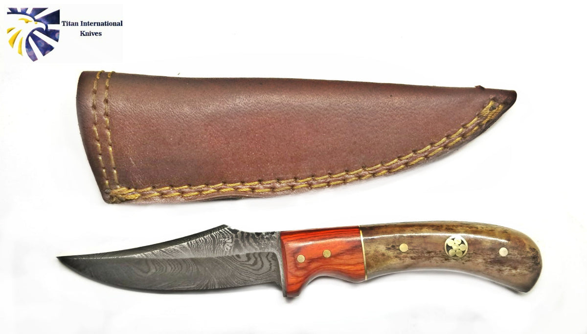 Damascus Steel Skinner Knife, Pekka Wood & Dyed Bone by Titan Td-196