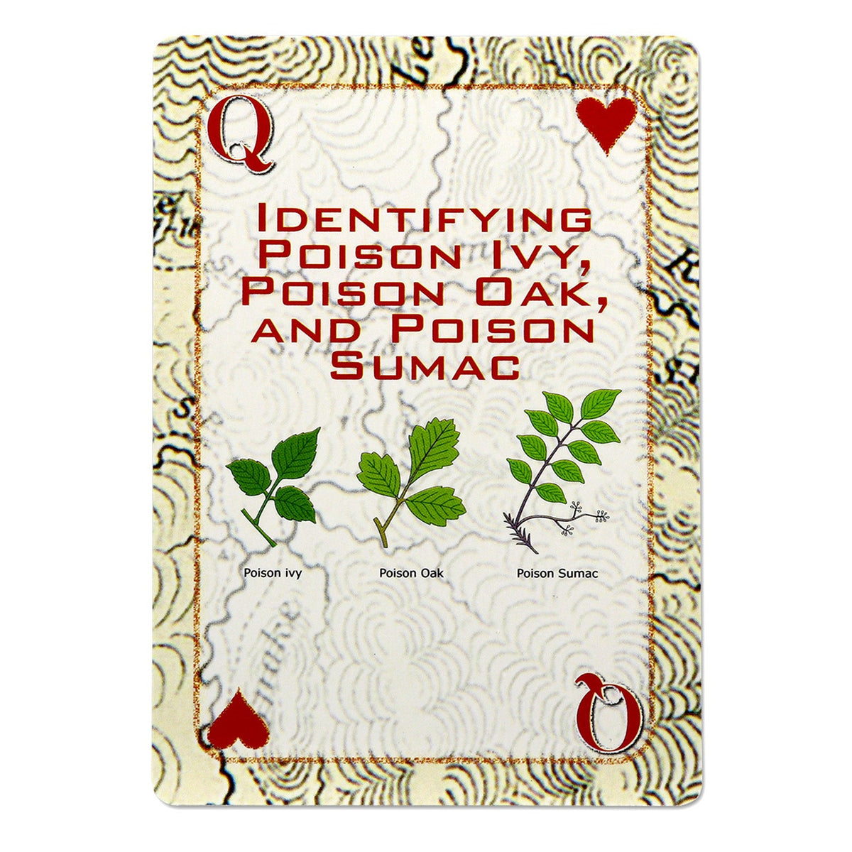 Quake Kits Survival Playing Cards | Essential Skills on Every Card